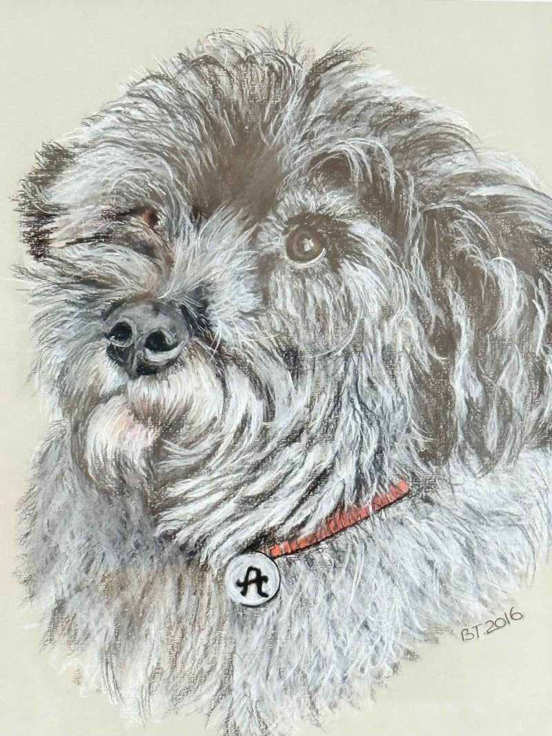 Framed pastel portrait of a shaggy dog in black frame with white mount, close-up detail of fur and eyes, photographed on white surface.