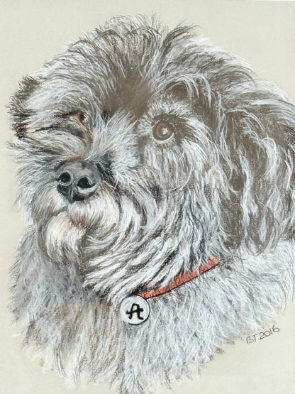 Framed pastel portrait of a shaggy dog in black frame with white mount, close-up detail of fur and eyes, photographed on white surface.