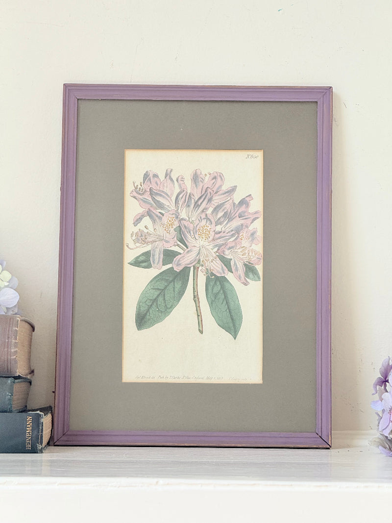 Framed vintage rhododendron print in purple wooden frame, styled with books and flowers on white surface