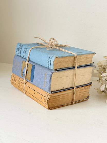 Vintage decorative book bundle in blue and ochre tied with twine, photographed on a white surface