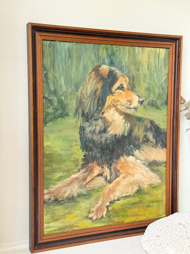 Oil on board portrait of a black and golden long haired dog on grass by Muriel Hester Broughton