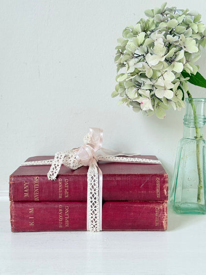 Pair of vintage Rudyard Kipling books in red cloth bindings with gilt lettering, styled as a decorative bundle, photographed on a white surface