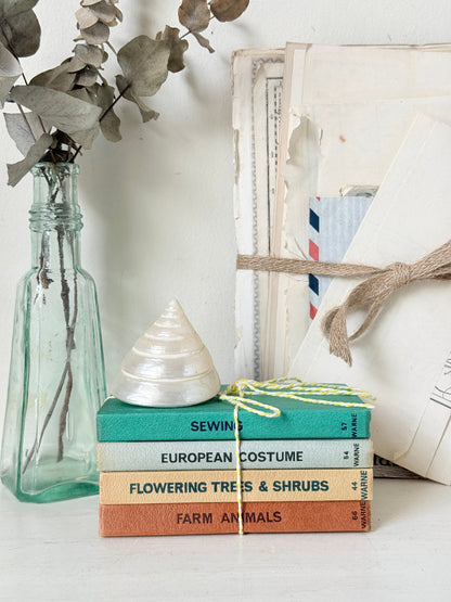 A styled tabletop scene with a stack of vintage costume-themed books tied with yellow string, a white seashell on top, a translucent blue glass bottle with dried leaves, and a cream envelope bundle wrapped in twine against a light wall.