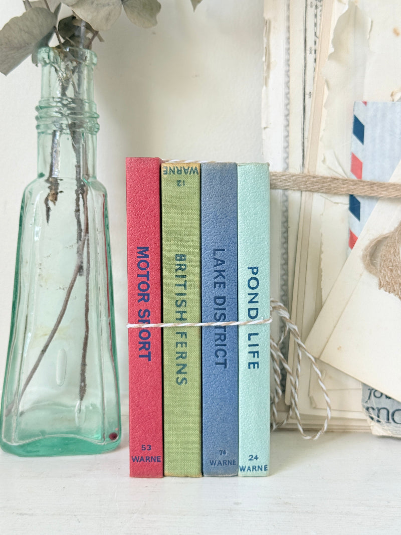 Four vintage hardcover books with colorful spines standing upright on a white surface, flanked by a clear glass bottle with dried stems and a stack of aged papers.