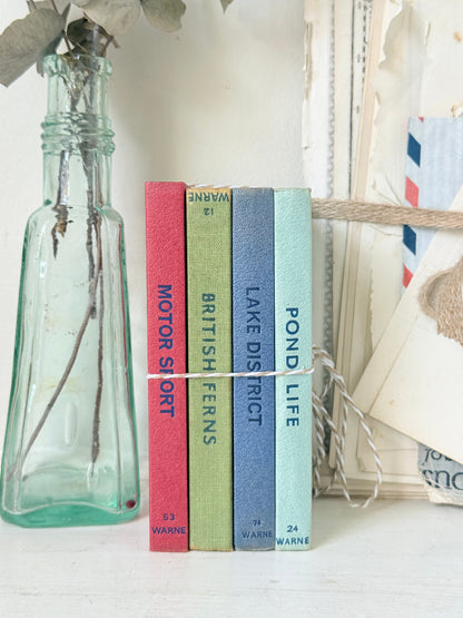 Four vintage hardcover books with colorful spines standing upright on a white surface, flanked by a clear glass bottle with dried stems and a stack of aged papers.