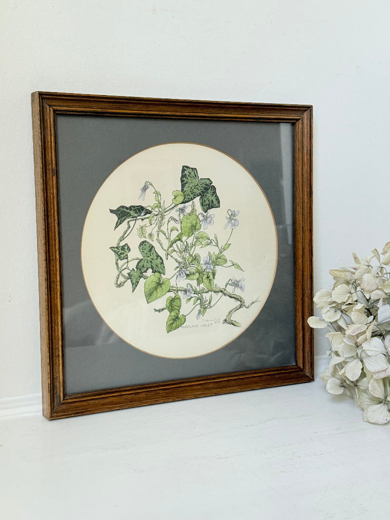 framed hand coloured botanical print of ivy and white blossoms photographed on white surface