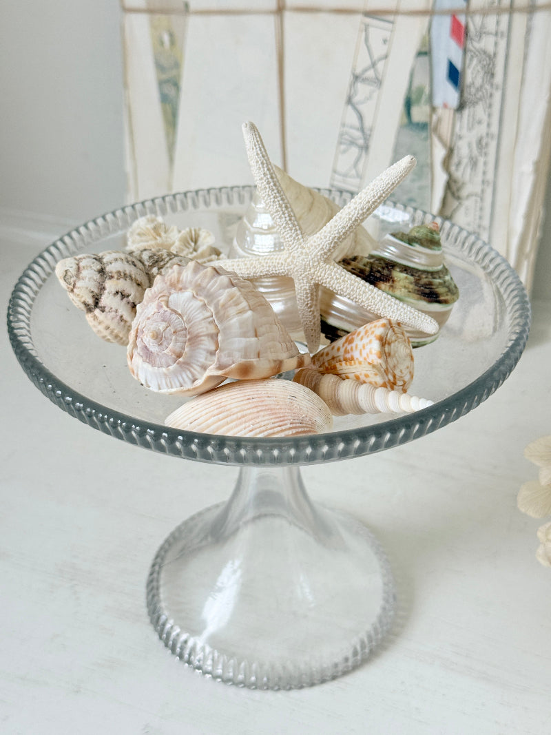 A clear glass pedestal plate filled with assorted seashells and a white starfish, set on a light tabletop with a softly blurred background.