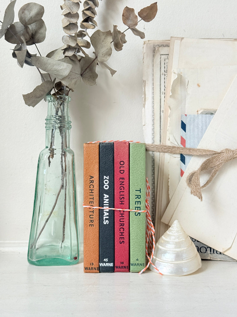 A styled still life featuring a tall translucent teal glass bottle vase with dried eucalyptus branches, a small stack of colorful books, a white seashell, and vintage-style papers tied with twine against a white wall.