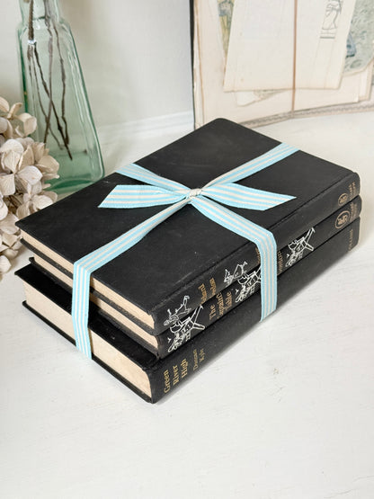 Three antique black books with decorative spines tied with a striped cotton ribbon on a white surface, styled with glass bottles
