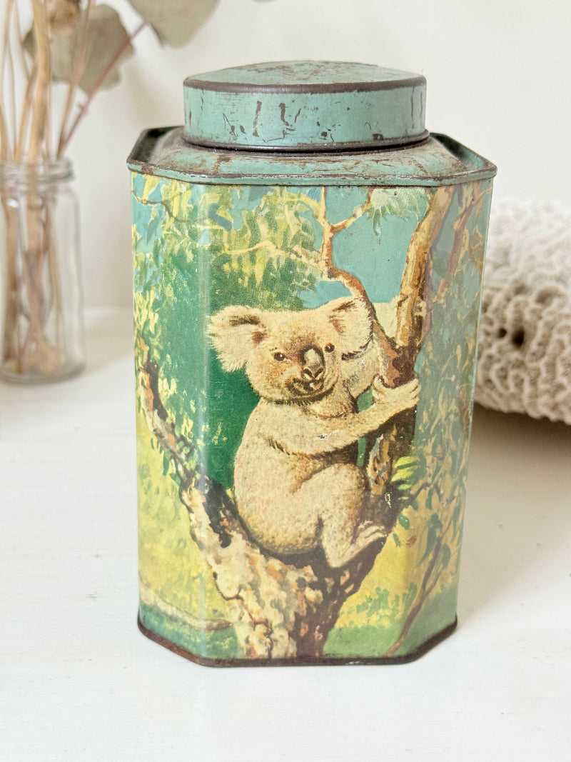 Vintage Bushells metal tea box featuring kangaroo, koala, and emu illustrations photographed on a white surface.