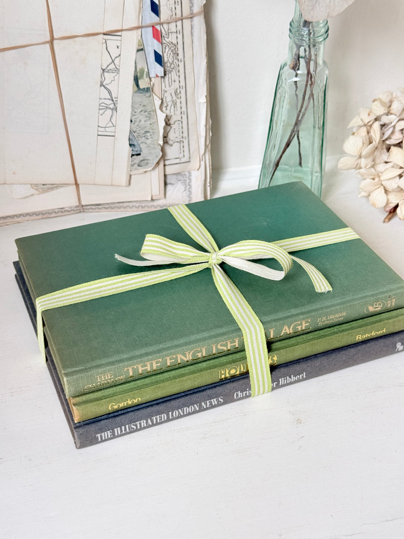 A stack of vintage hardcover books wrapped with a light green and white striped ribbon, styled on a white surface with a glass bottle and dried flowers in the background.