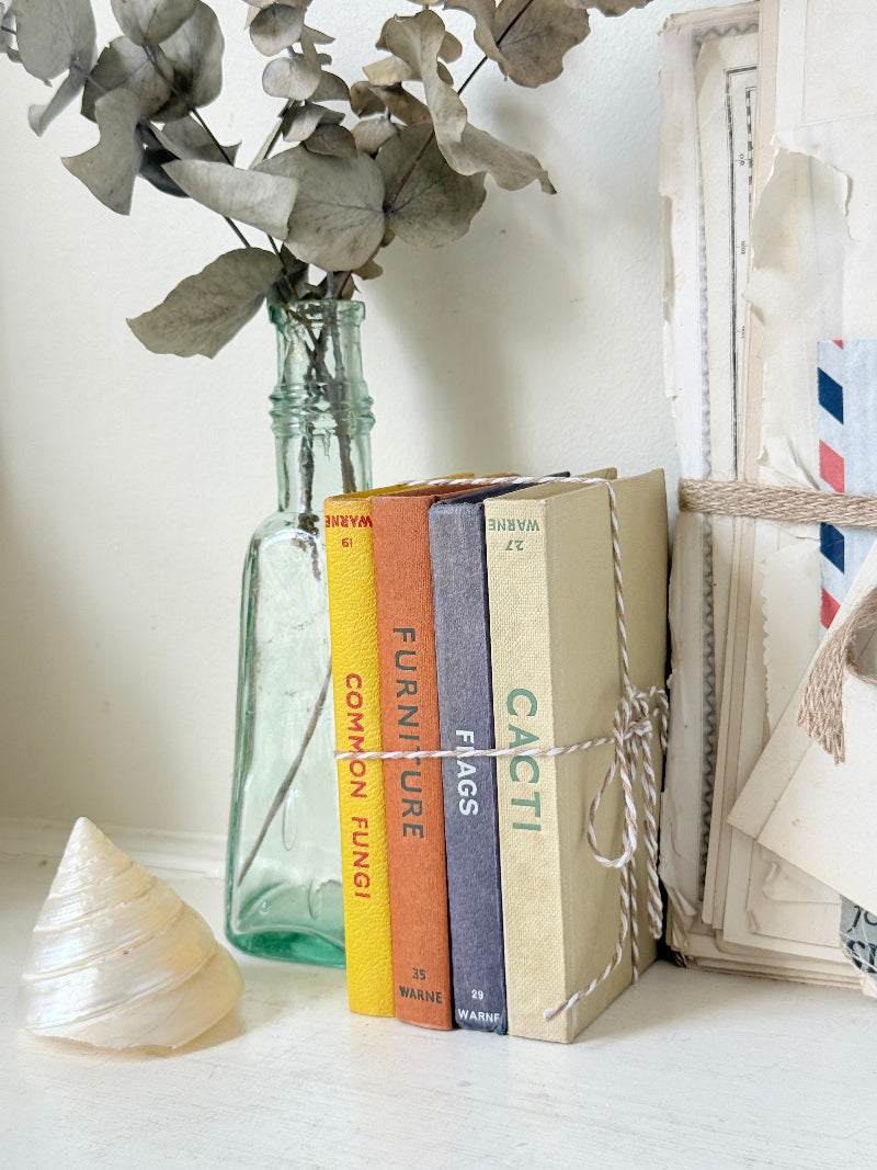 A styled still life featuring a set of four hardcover books standing upright next to a clear glass bottle with dried eucalyptus stems, a white seashell, and vintage-style envelopes on a light surface.