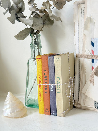 A styled still life featuring a set of four hardcover books standing upright next to a clear glass bottle with dried eucalyptus stems, a white seashell, and vintage-style envelopes on a light surface.