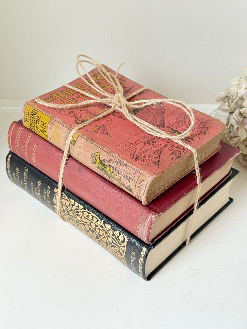 Vintage decorative book bundle in red and black with gilt detailing tied with twine, photographed on a white surface