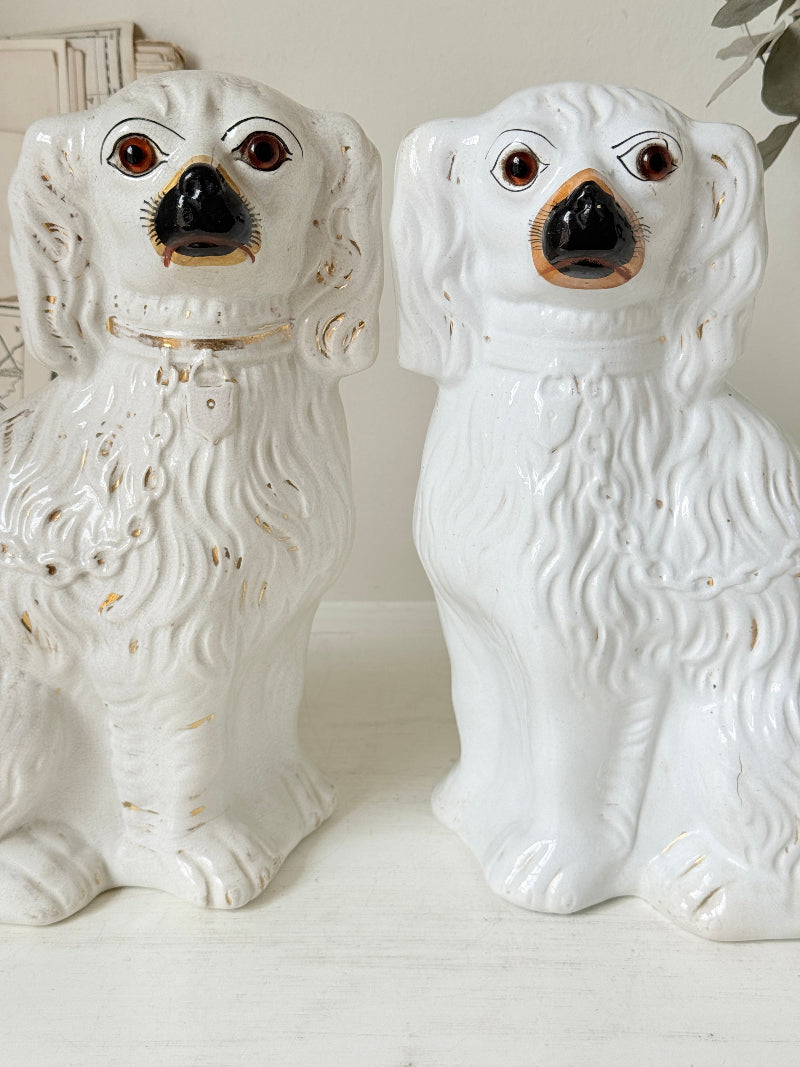Near pair of antique white Staffordshire spaniel mantel dogs with glass eyes and worn gilt collars