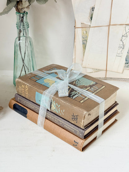 Bundle of vintage hardback books in brown, tan and navy tied with a pale blue satin ribbon for shelf and table styling