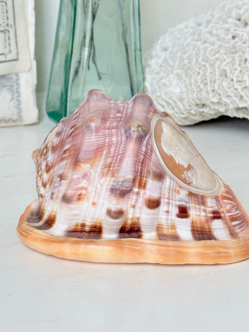 Hand carved cameo helmet shell with a classical female profile in pale relief on pink and brown