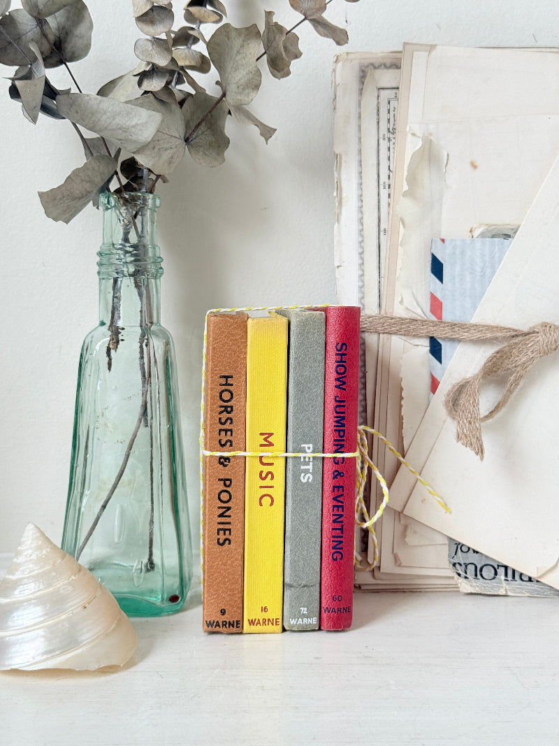 A styled still life featuring a set of four vintage hardcover books standing upright, bound together with twine. The books have colorful spines in orange-brown, yellow, gray, and red.