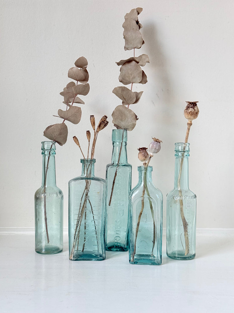 Set of five antique aqua glass bottles with embossed lettering, photographed on a white surface with dried stems