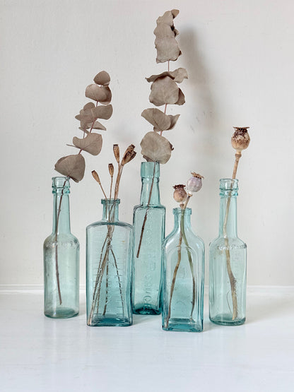 Set of five antique aqua glass bottles with embossed lettering, photographed on a white surface with dried stems