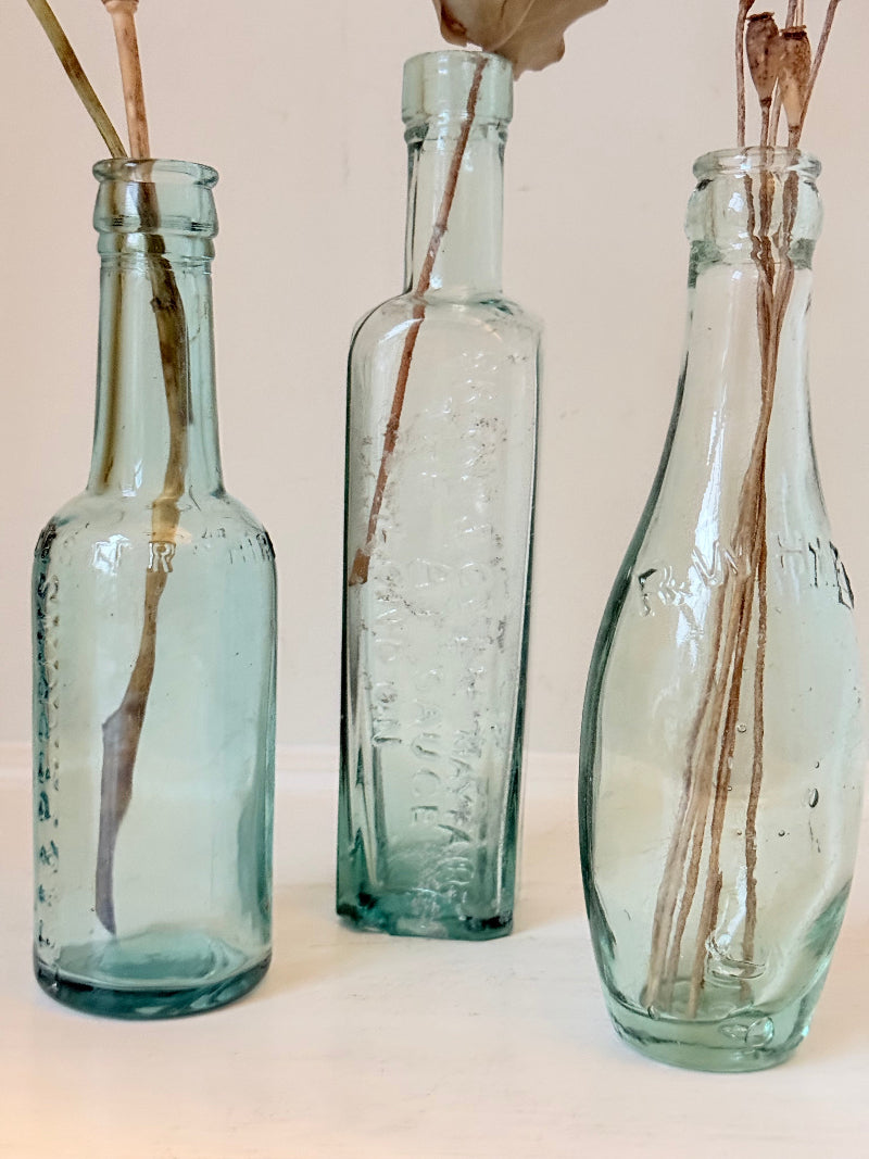 Trio of antique aqua glass bottles with embossed lettering, photographed on a white surface with dried stems