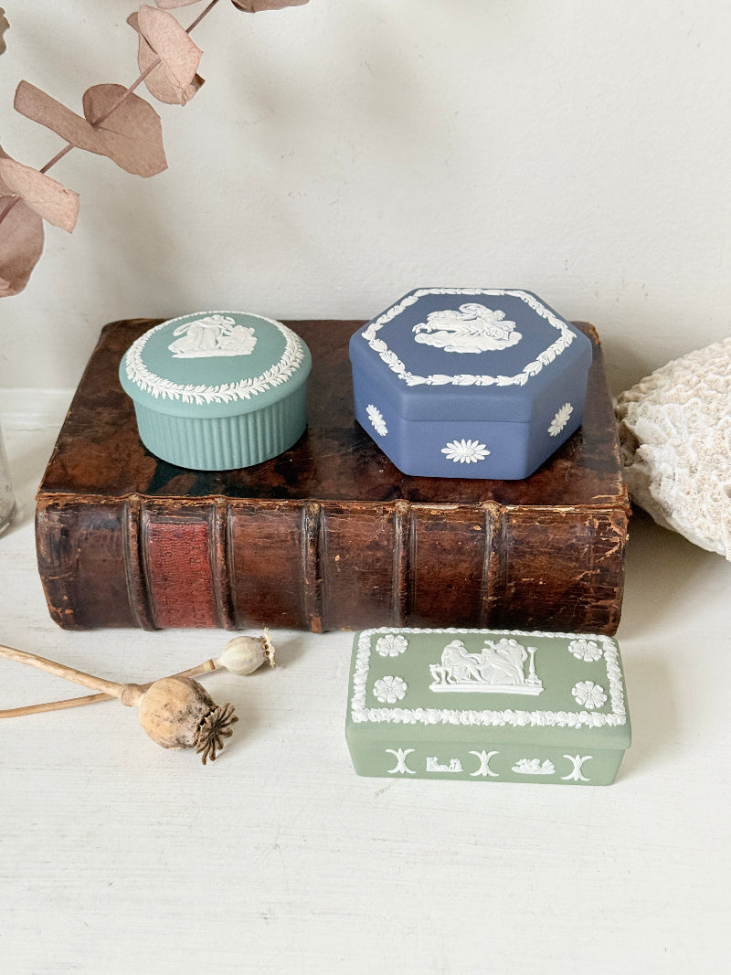 
Trio of vintage Wedgwood Jasperware lidded pots in Portland blue and sage green, featuring neoclassical white relief figures, styled with dried stems on a pale surface.