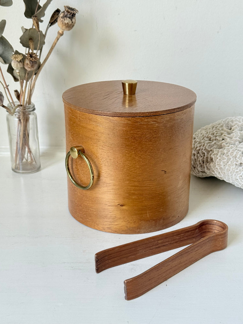 Mid century bent plywood icebox with brass handle and matching wooden tongs, styled on a white surface with dried foliage.