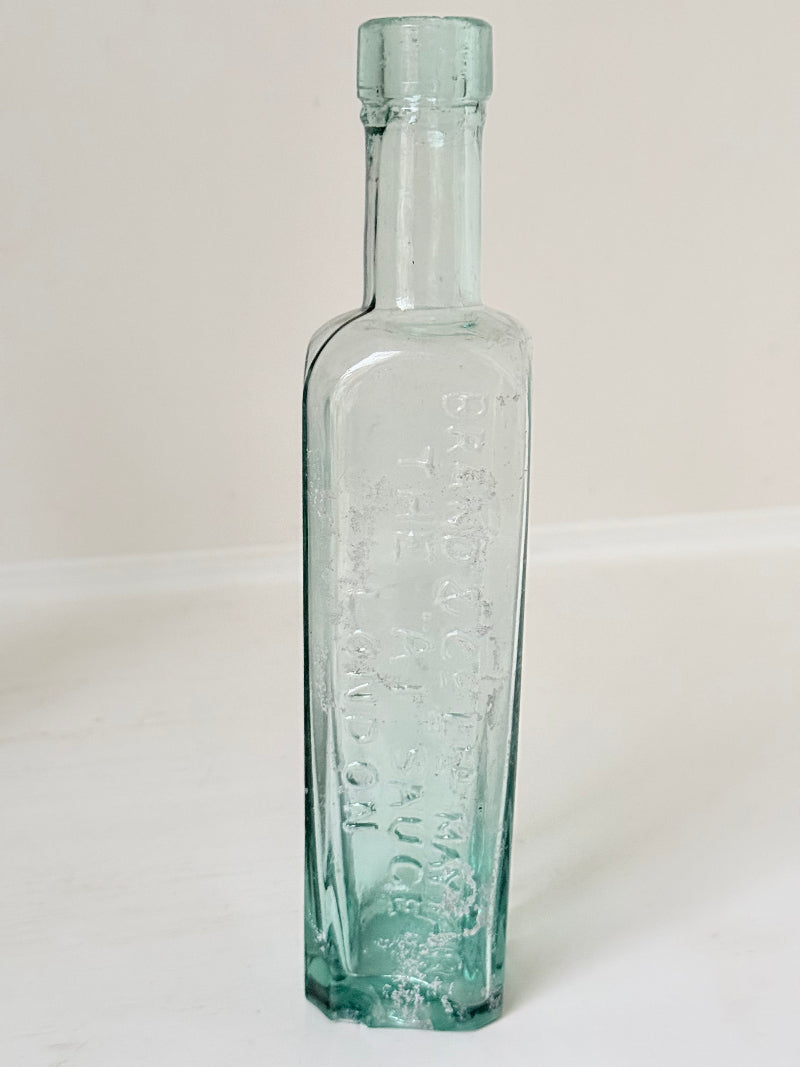 Trio of antique aqua glass bottles with embossed lettering, photographed on a white surface with dried stems