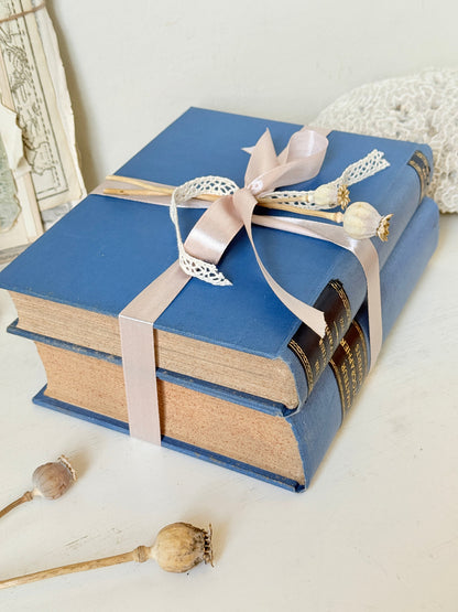 Pair of vintage Amateur Photographer books in blue cloth binding with gilt lettering tied with pale pink ribbon for shelf styling
