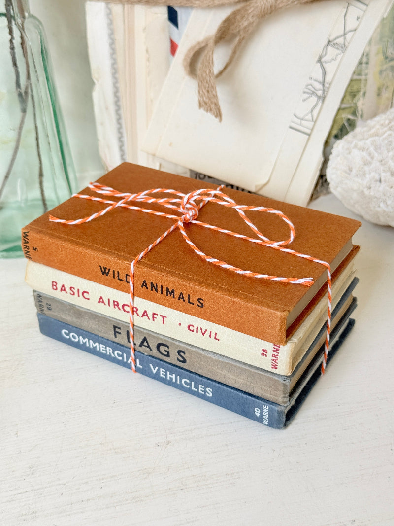A stack of four vintage hardcover books tied with red-and-white striped twine, placed on a light tabletop with decorative objects in the background. The visible book titles include Wild Animals, Basic Aircraft &amp; Civil, Flags, and Commercial Vehicles.