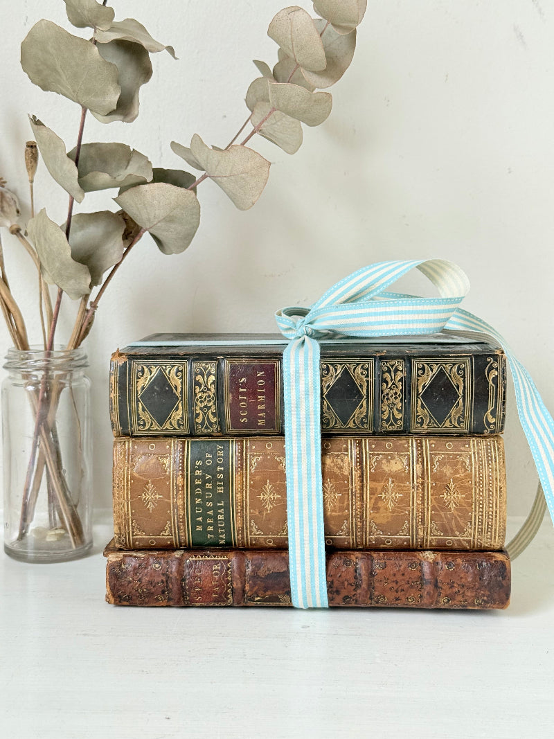 Antique leather bound decorative book bundle tied with pale blue ribbon, photographed on a white surface
