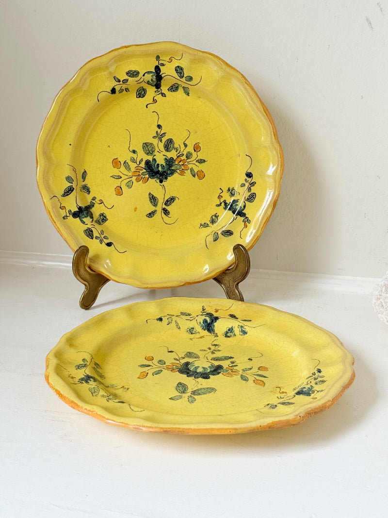Pair of vintage yellow French faïence plates with hand painted blue floral design, photographed on a white surface