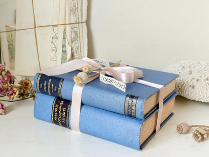 Pair of vintage Amateur Photographer books in blue cloth binding with gilt lettering tied with pale pink ribbon for shelf styling