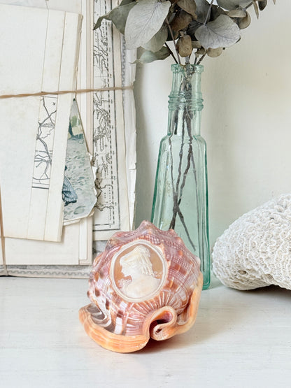 Hand carved cameo helmet shell with a classical female profile in pale relief on pink and brown