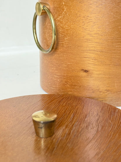 Mid century bent plywood icebox with brass handle and matching wooden tongs, styled on a white surface with dried foliage.