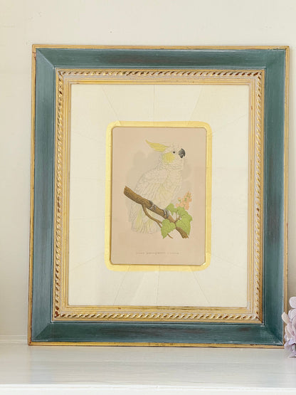 Framed cockatoo bird print in green and gold frame with mount, styled on white surface with vintage books