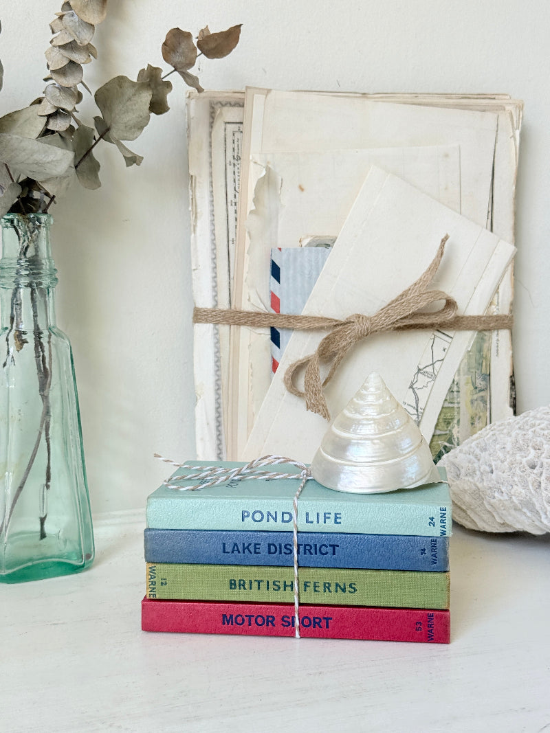 A styled tabletop arrangement featuring a stack of vintage hardcover books tied with twine, a small silver seashell, a glass vase with dried eucalyptus, and a white textured stone against a white background.