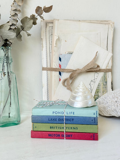 A styled tabletop arrangement featuring a stack of vintage hardcover books tied with twine, a small silver seashell, a glass vase with dried eucalyptus, and a white textured stone against a white background.