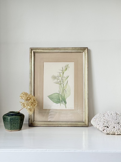 Vintage watercolour of hosta lilies in a gilt frame, signed and dated 1974, styled on white surface with soft decor

