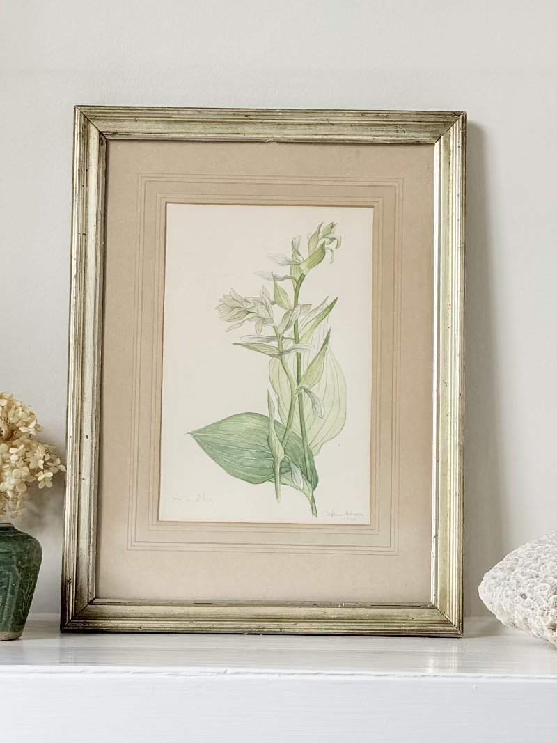 Vintage watercolour of hosta lilies in a gilt frame, signed and dated 1974, styled on white surface with soft decor

