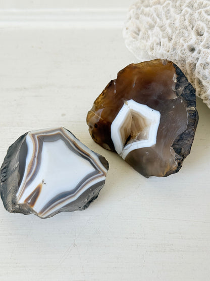 Pair of polished orca agate specimens with cream, brown and grey banding, photographed on a white surface