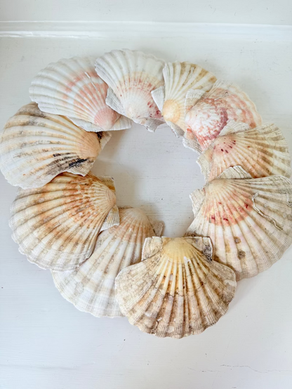 Set of 10 natural scallop shells in mixed sizes and tones, photographed on white surface.