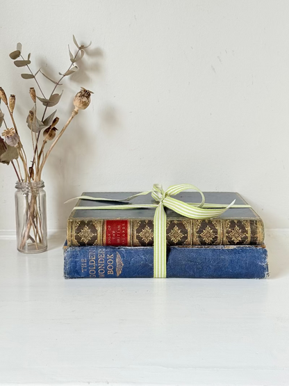Vintage large pair of blue decorative books tied with green ribbon, photographed on a white surface