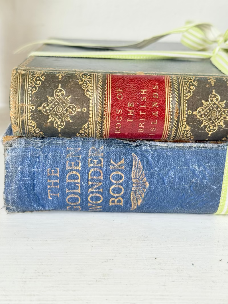 Vintage large pair of blue decorative books tied with green ribbon, photographed on a white surface