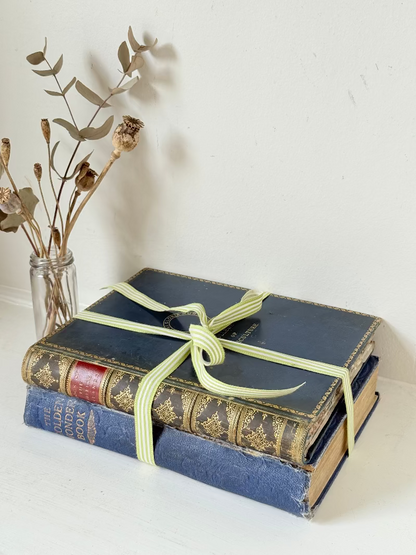 Vintage large pair of blue decorative books tied with green ribbon, photographed on a white surface