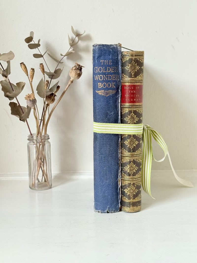 Vintage large pair of blue decorative books tied with green ribbon, photographed on a white surface