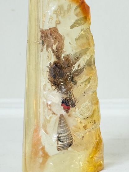 vintage 1970s resin bottle opener with embedded seashells and coastal treasures on white surface