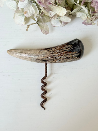 vintage corkscrew with natural horn handle and aged steel spiral on white surface