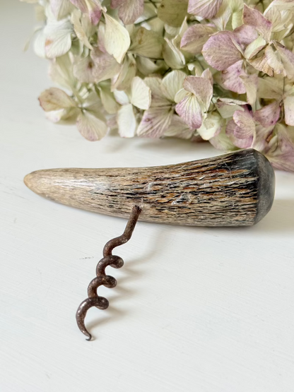 vintage corkscrew with natural horn handle and aged steel spiral on white surface