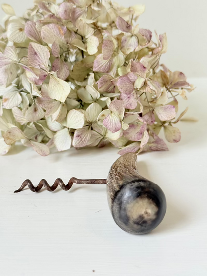 vintage corkscrew with natural horn handle and aged steel spiral on white surface